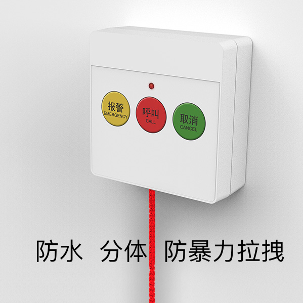 多嘴猫